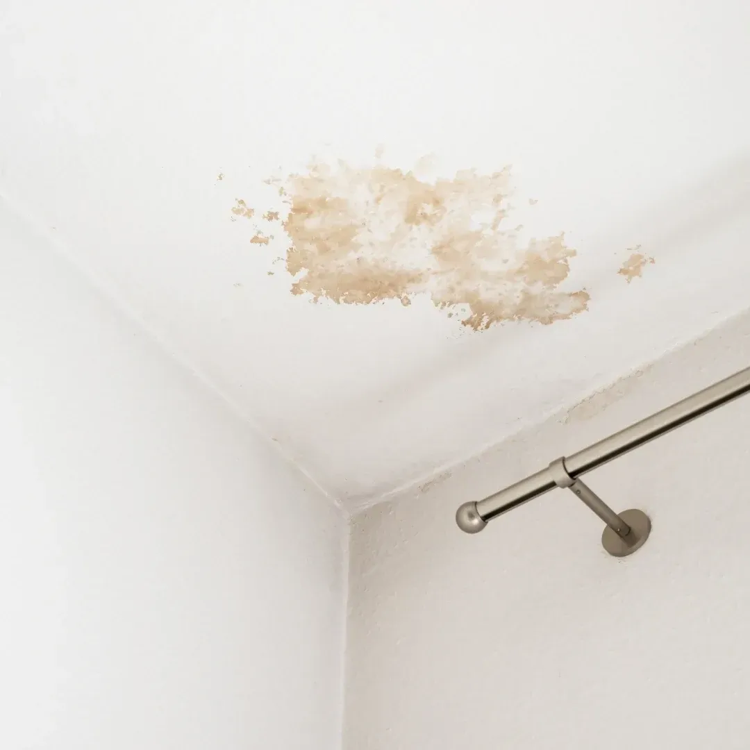 Water stain and ceiling mold above a corner shower rod in a white bathroom